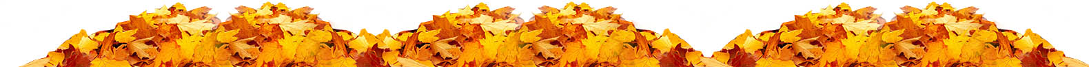 Piles of leaves
