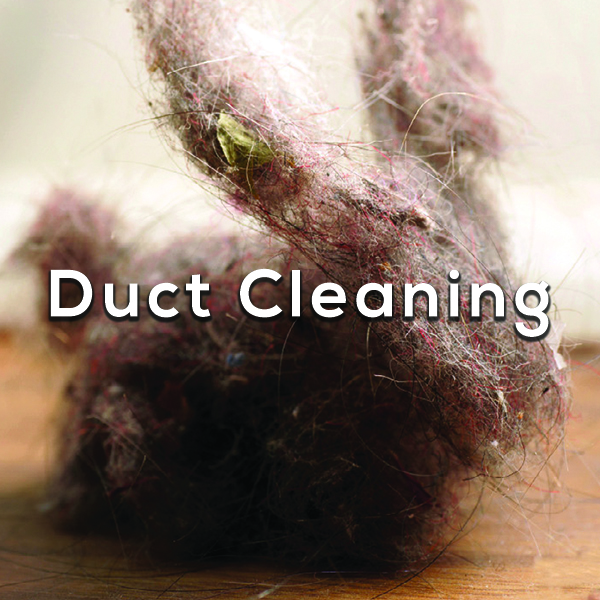 Duct Cleaning Dust bunny - Duct Cleaning